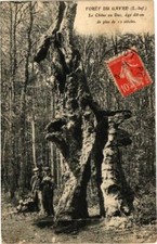 Old postcard foret d'occasion  Expédié en Belgium