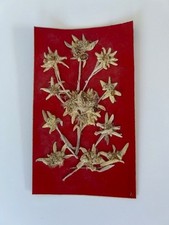 Collection ancienne carte d'occasion  Brignoles