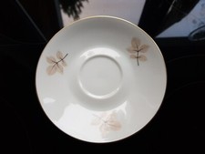 Rosenthal schattenrose unterte gebraucht kaufen  Emmendingen