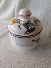 Villeroy boch botanica gebraucht kaufen  Rodenberg