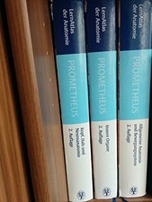 Prometheus kopf hals gebraucht kaufen Prometheus kopf hals gebraucht kaufen  Stuttgart