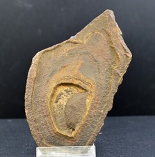 Tsesite 145 gramm gebraucht kaufen  Versand nach Germany