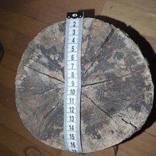 Schwemmholz treibholz großer gebraucht kaufen  Duisburg