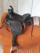 Western youth pony for sale  Rome