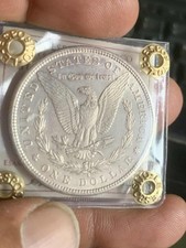 Dollaro morgan 1881 usato  Lecce