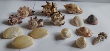 Bundle small sea for sale  ROCHESTER
