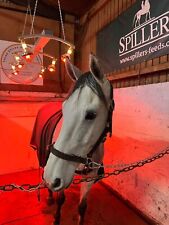 Horse solarium 1500w for sale  STOKE-ON-TRENT