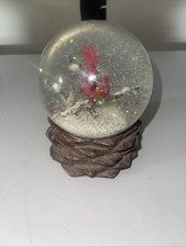 Red cardinal snow for sale  Delmar