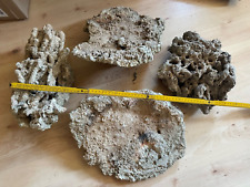 Meerwasseraquarium echtes riff gebraucht kaufen  Ketsch