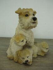 Vintage wire haired for sale  BRENTWOOD