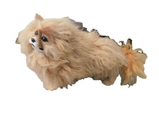 Realistic pomeranian furry for sale  Harrisburg