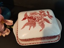 Burriera inglese spode usato  Quinto di Treviso