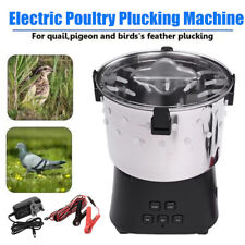 Electric quail bird for sale  Cranbury