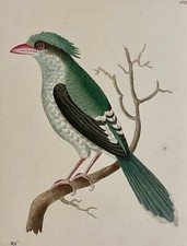 1789 chinese roller for sale  Galway