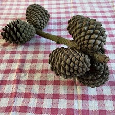 Large real natural for sale  COLCHESTER