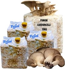 Kit coltivazione funghi usato  Barletta