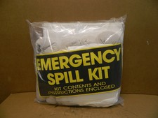 Protect america emergency for sale  Clover