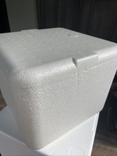 Insulated styrofoam cooler for sale  Asheville