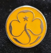 Girl guides metal for sale  ACCRINGTON