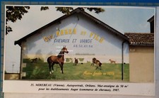 Ets auger horses d'occasion  Expédié en Belgium
