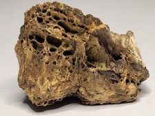 Partial limb hell for sale  SOLIHULL
