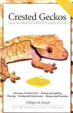Crested geckos vosjoli for sale  UK