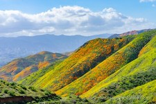 Landscape photography print for sale  Costa Mesa