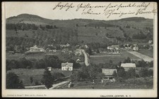 Usa new york gebraucht kaufen  Wietzendorf
