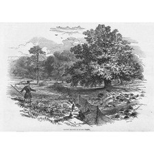 Rabbit netting epping for sale Rabbit netting epping for sale  GLASGOW