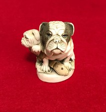 english bulldog pups for sale english bulldog pups for sale Newberry
