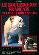 Bouledogue français bulldog d'occasion Bouledogue français bulldog d'occasion  Hennebont