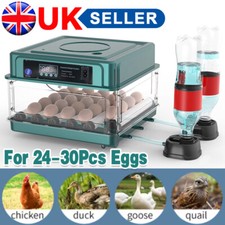 36x eggs fully for sale  TAMWORTH