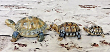 Wade porcelain tortoise for sale  WARMINSTER