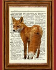 Red fox dictionary for sale  Hernando
