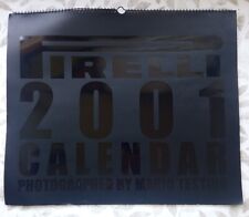 Calendario pirelli 2001 usato  Brugherio