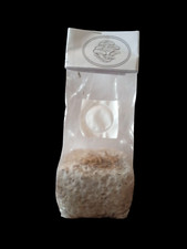 Sconto pleurotus ostreatus usato  Arese