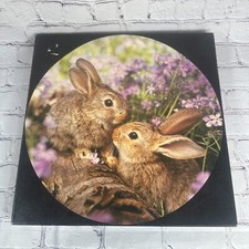 Rare springbok circular for sale  Loris