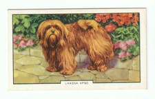 1938 gallaher dog d'occasion  Expédié en Belgium