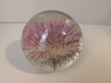 Vintage paperweight hafod for sale  CWMBRAN
