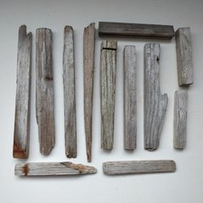 Mixed collection driftwood for sale  TAUNTON