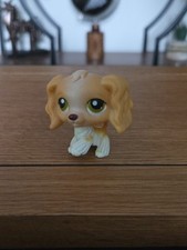 Cocker spaniel dog for sale  COVENTRY
