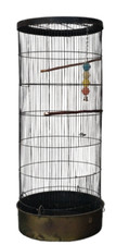 Antique large parrott for sale  Fresno