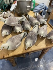Flocked pigeon shell for sale  BIGGLESWADE