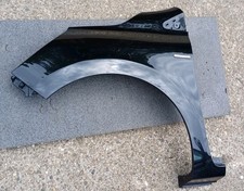 Renault clio kotflügel gebraucht kaufen  Neckarbischofsheim