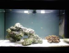 Acquario ferplast modello usato  Brandizzo