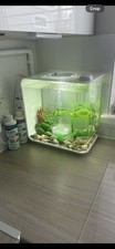 Biorb flow 15l for sale  EDENBRIDGE