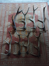 Lot bois mues d'occasion  France