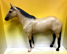 akhal teke for sale akhal teke for sale Canton