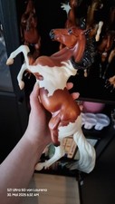 Breyer silver treasure gebraucht kaufen  Düsseldorf