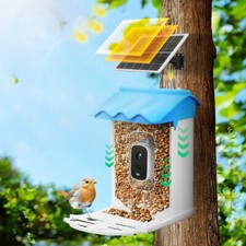 Bird feeder camera for sale  CANNOCK
